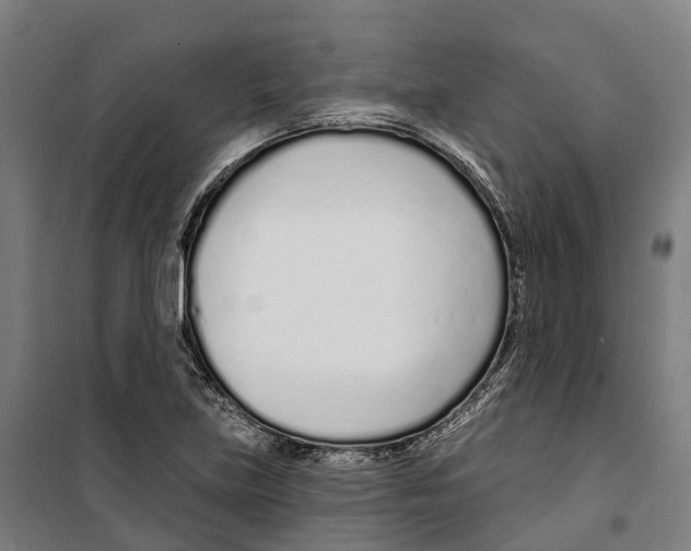 X0000099521219200806121454