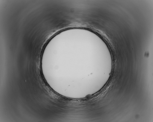 X0000099521220200806121454