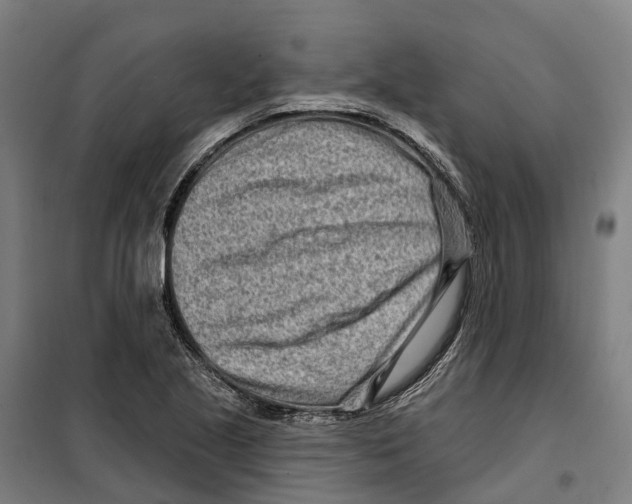 X0000099521221200806121454