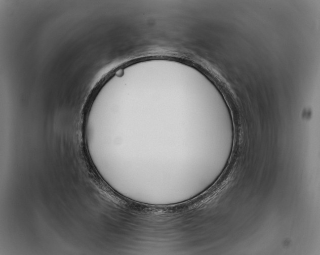 X0000099521222200806121454