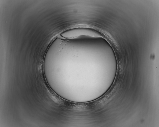 X0000099521225200806121454