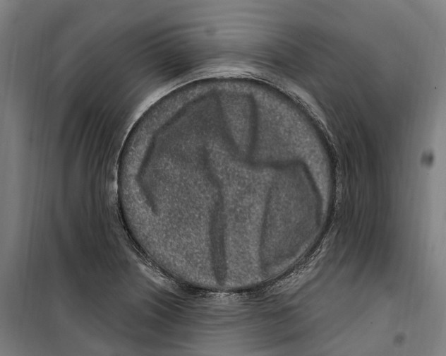 X0000099521226200806121455