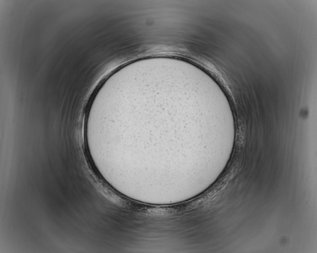 X0000099521227200806121455