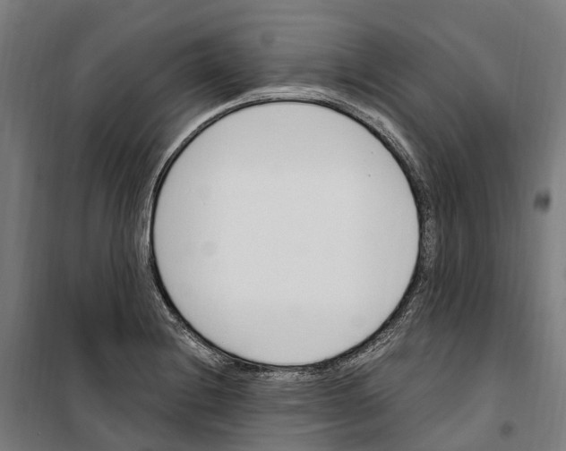 X0000099521228200806121455