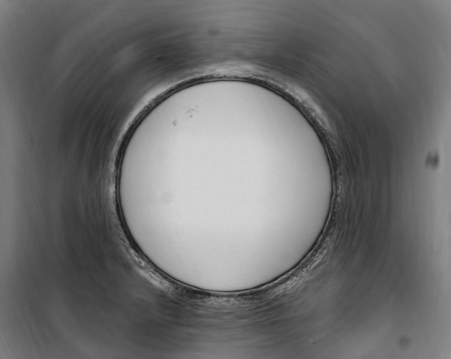 X0000099521232200806121455