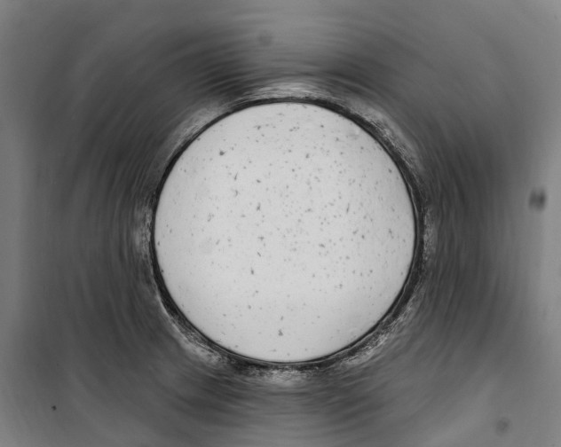 X0000099521233200806121455