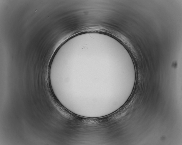 X0000099521234200806121455