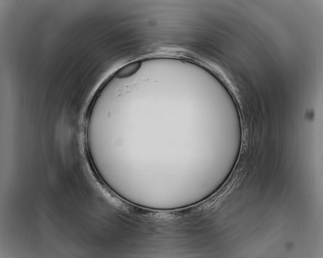 X0000099521235200806121455