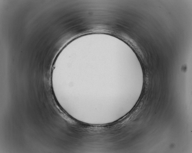 X0000099521236200806121455