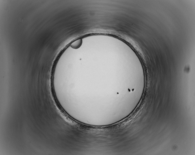 X0000099521237200806121455