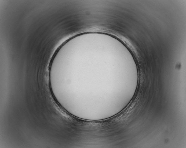 X0000099521238200806121455