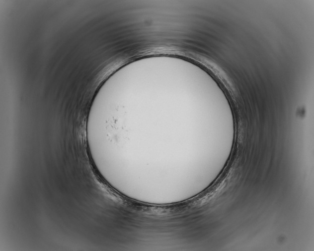 X0000099521241200806121455