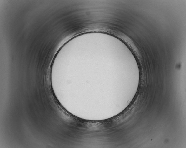 X0000099521242200806121455