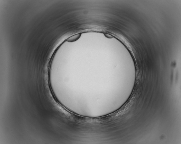 X0000099521243200806121455