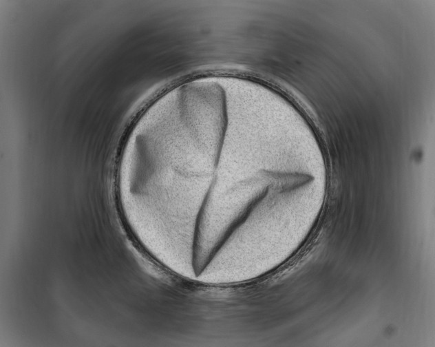 X0000099521245200806121455