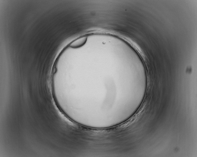 X0000099521247200806121455