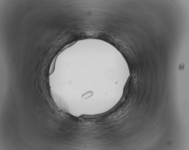 X0000099521249200806121454