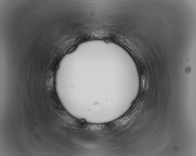 X0000099521251200806121454