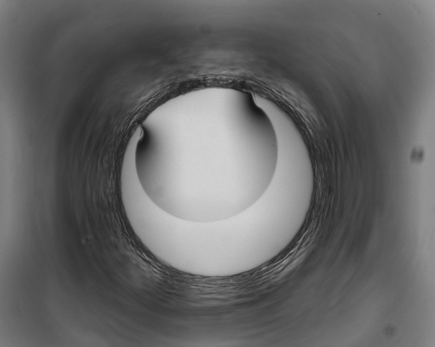 X0000099521252200806121454