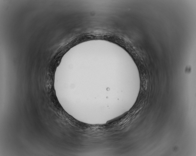 X0000099521253200806121454