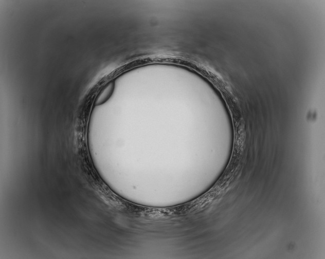 X0000099521255200806121454