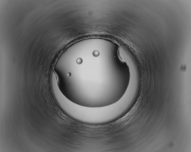 X0000099521257200806121454