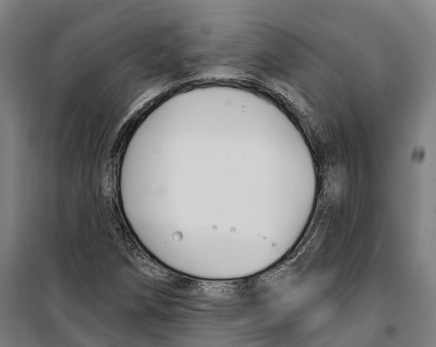 X0000099521258200806121454