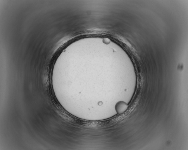 X0000099521259200806121454