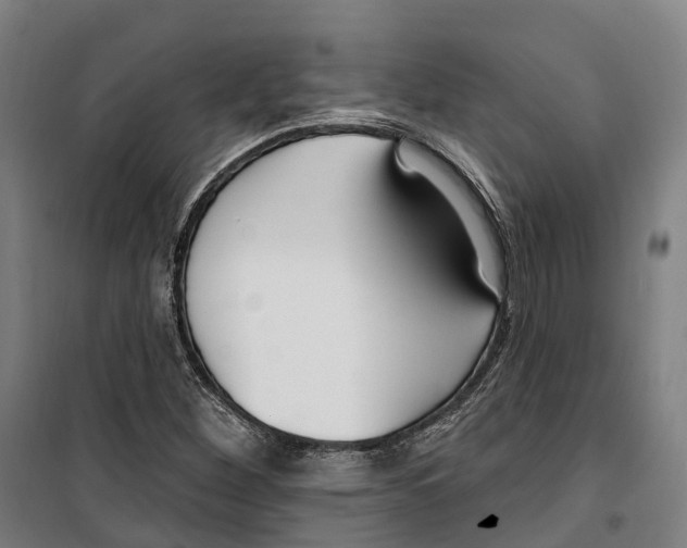 X0000099521260200806121454