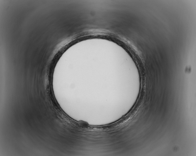 X0000099521261200806121454