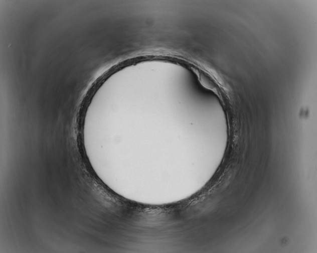 X0000099521264200806121454