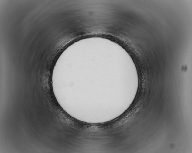 X0000099521265200806121454