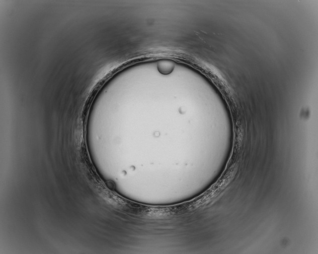 X0000099521267200806121454