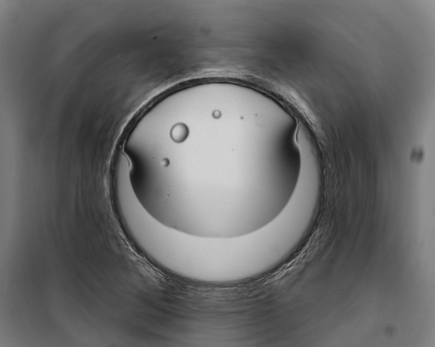 X0000099521268200806121454