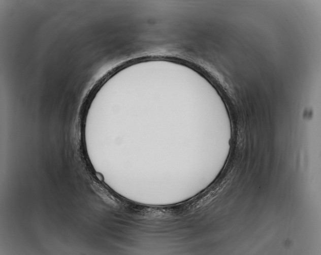 X0000099521270200806121454