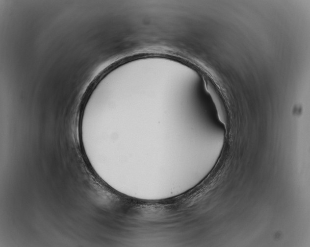 X0000099521272200806121454