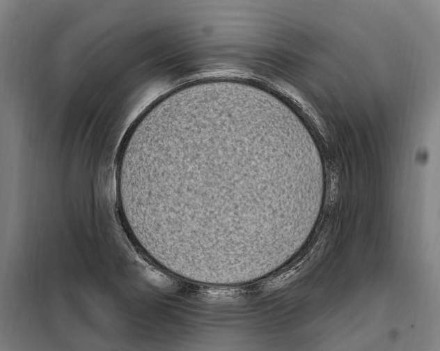 X0000099521274200806121454