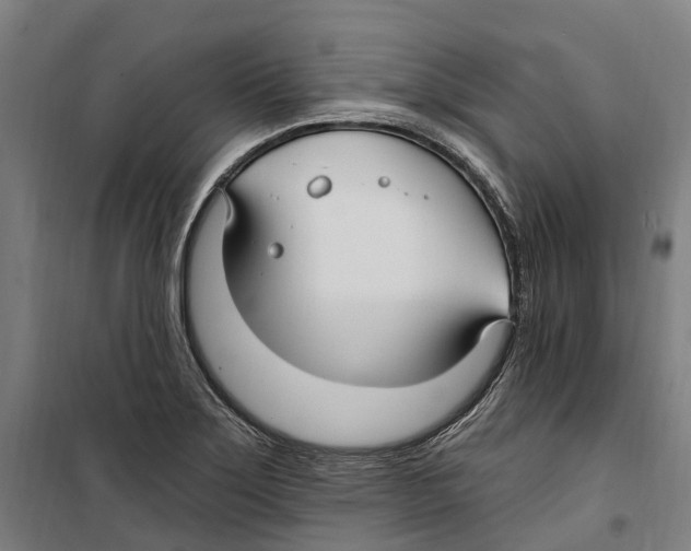 X0000099521275200806121454