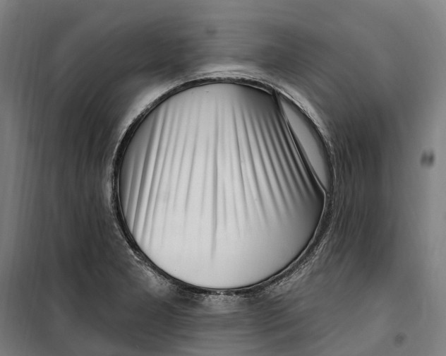 X0000099521277200806121454