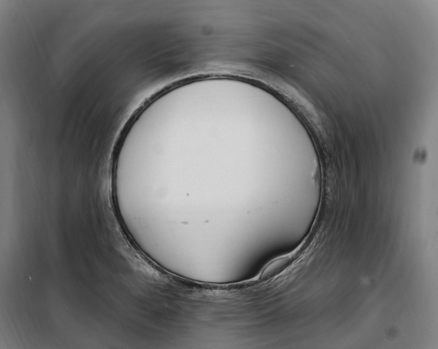 X0000099521280200806121454