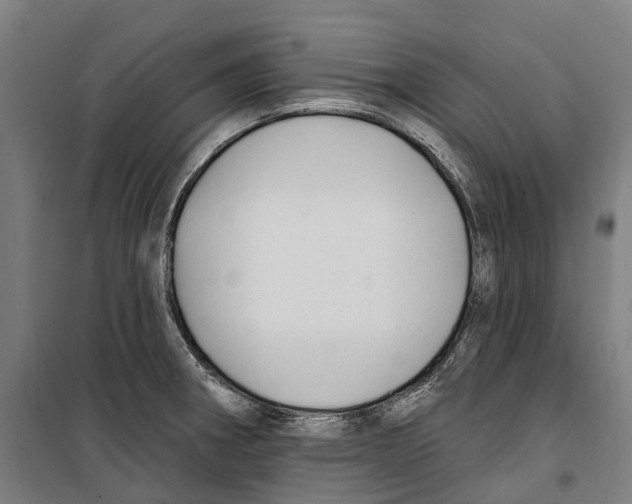 X0000099521282200806121454