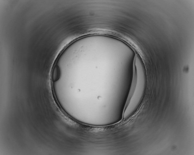 X0000099521283200806121453