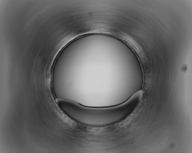 X0000099521284200806121453