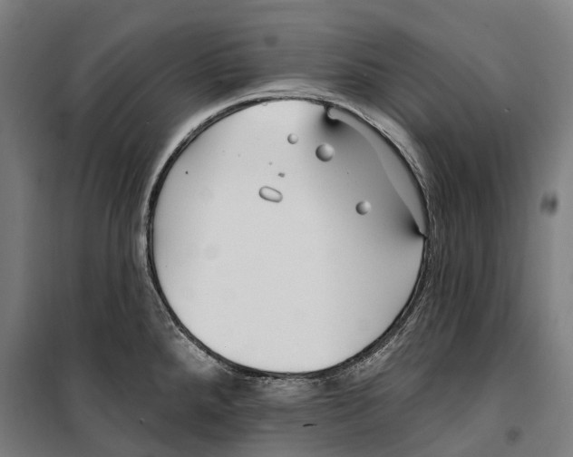 X0000099521288200806121453