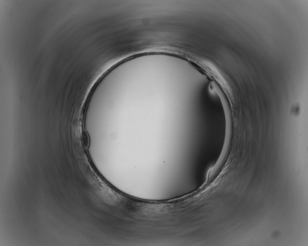 X0000099521292200806121453