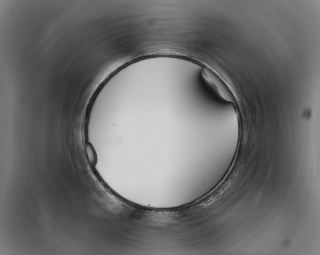 X0000099521293200806121453