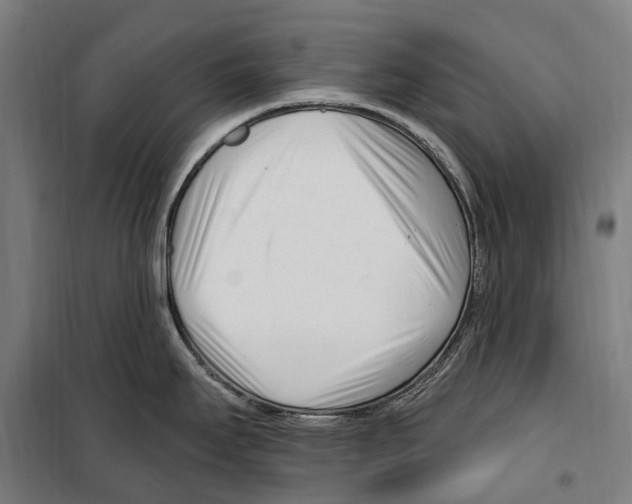 X0000099521295200806121453