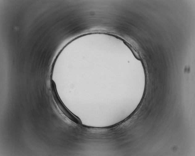 X0000099521296200806121453