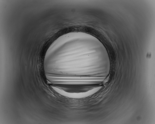 X0000099521298200806121453