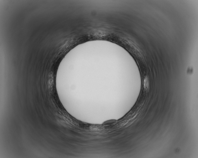 X0000099521299200806121453